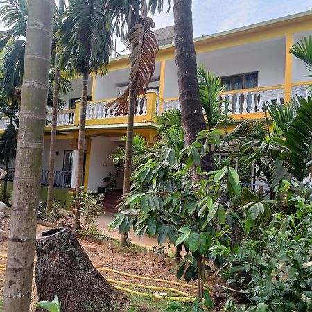 Lavish Exotic Hotel & Apartments Arambol Kültér fotó