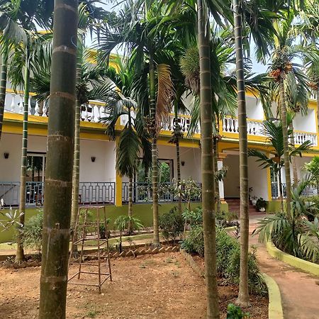 Lavish Exotic Hotel & Apartments Arambol Kültér fotó